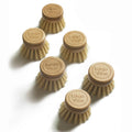 Set of six wooden dish brushes  heads with sisal bristle on a white background, branded 'Larga Vitae'.