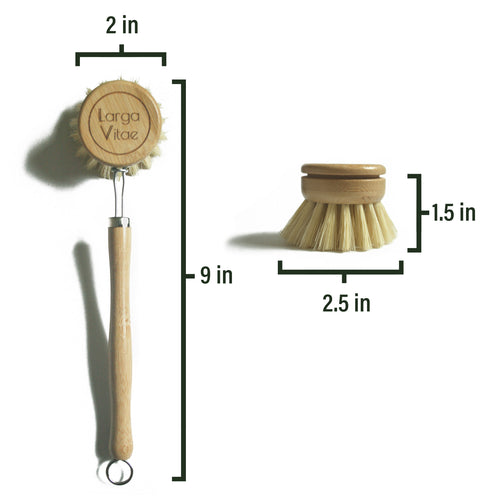 Bamboo dish brush measuring 2 inches in head diameter, 9 inches in length, and 2,5 inches in bristle diameter on a white background
