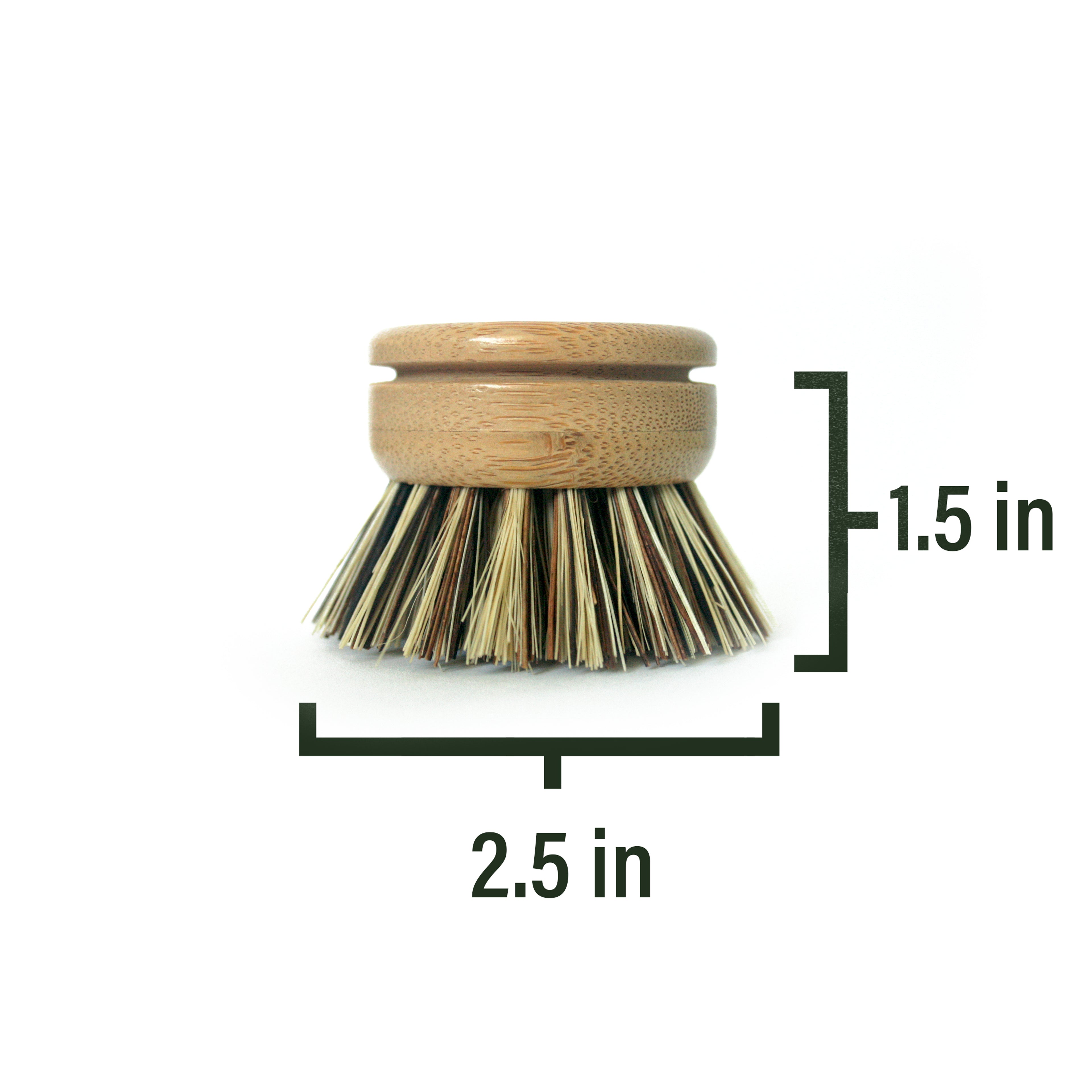 palm fiber bamboo dish brush head measuring 1.5 inch in height and 2.5 inches diameter bristles on a white background