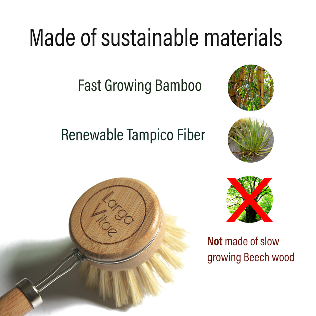 bamboo dish brush with tampico fiber bristles and infographic that bamboo is fast growing and tampico fiber is renewable