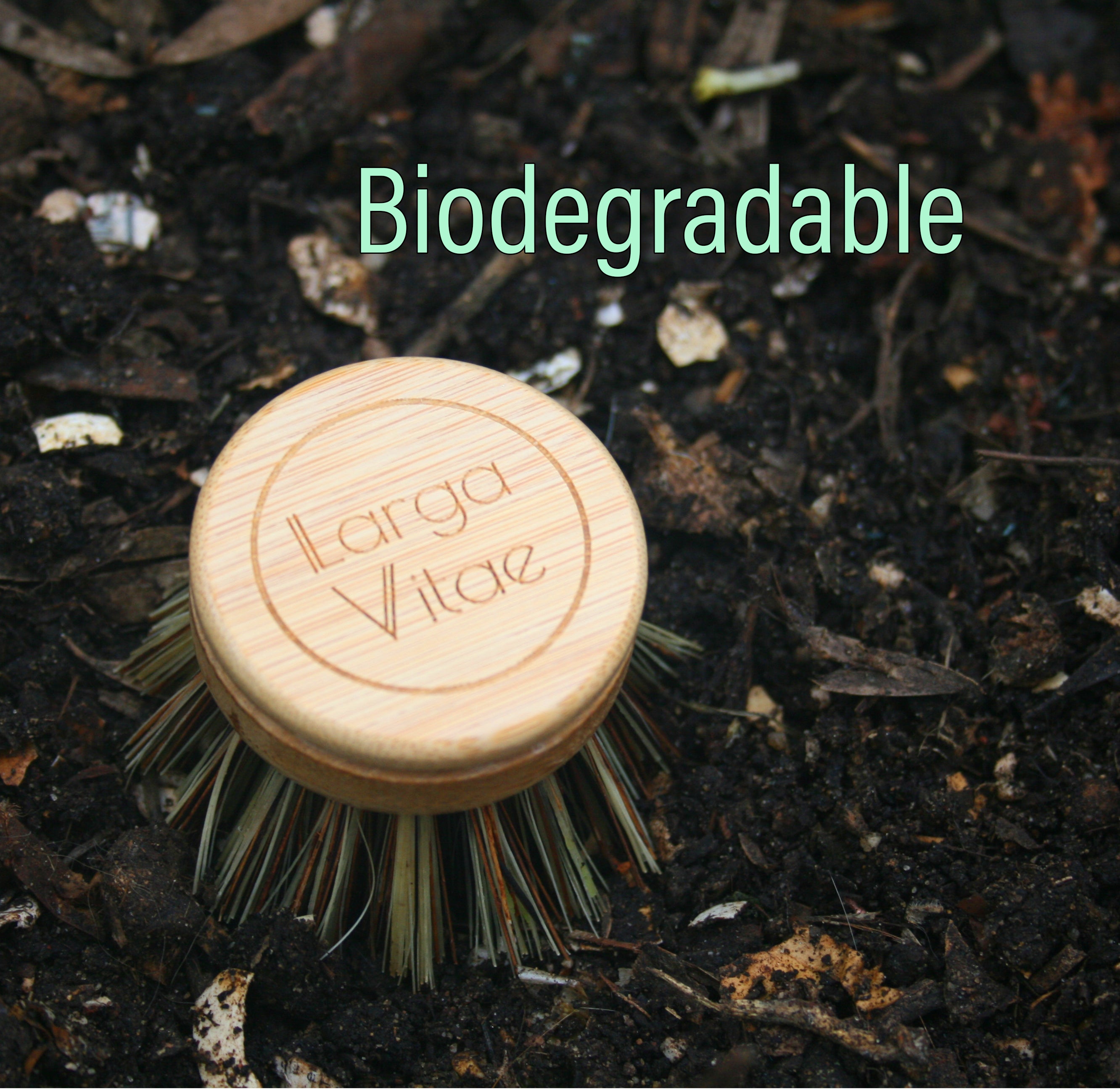 biodegradable wooden dish brush head with palm bristles sitting in soil