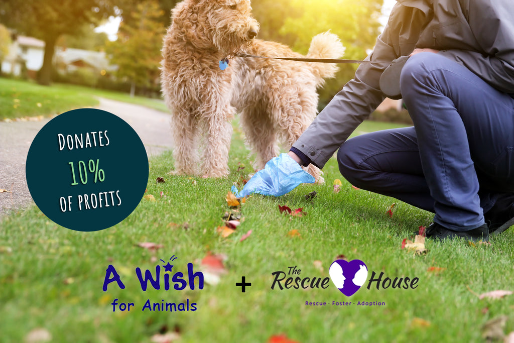 Person crouching with a dog on a leash, picking up poop with Baboo's Bags, 10% of profits donating to A Wish for Animals and The Rescue House.
