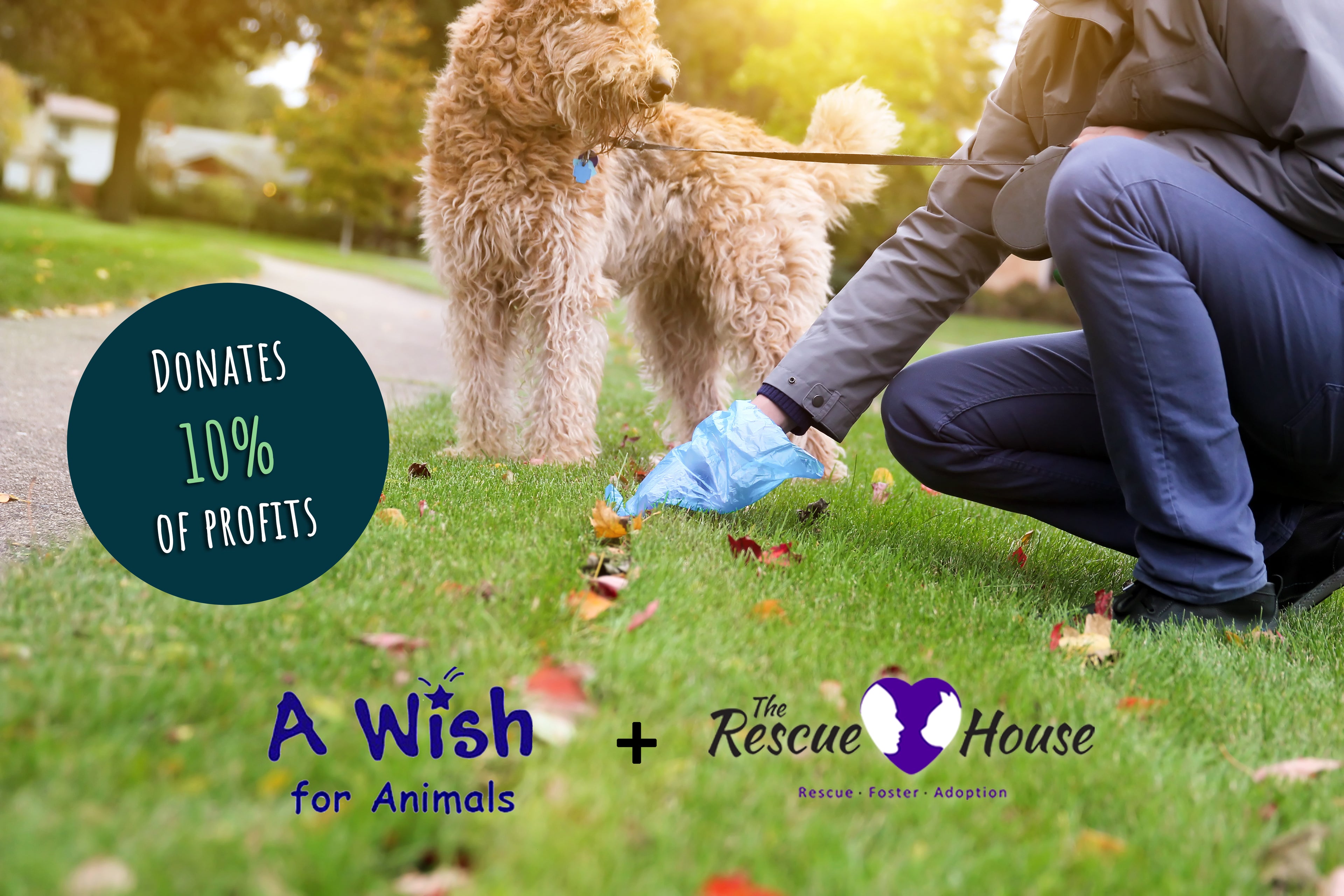 Person crouching with a dog on a leash, picking up poop with Baboo's Bags, 10% of profits donating to A Wish for Animals and The Rescue House.