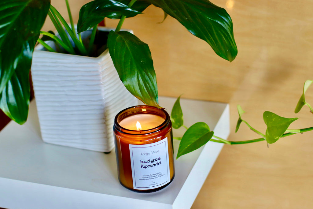Larga Vitae's glass jar essential oil candle on a white floating shelf, surrounded by green plants.