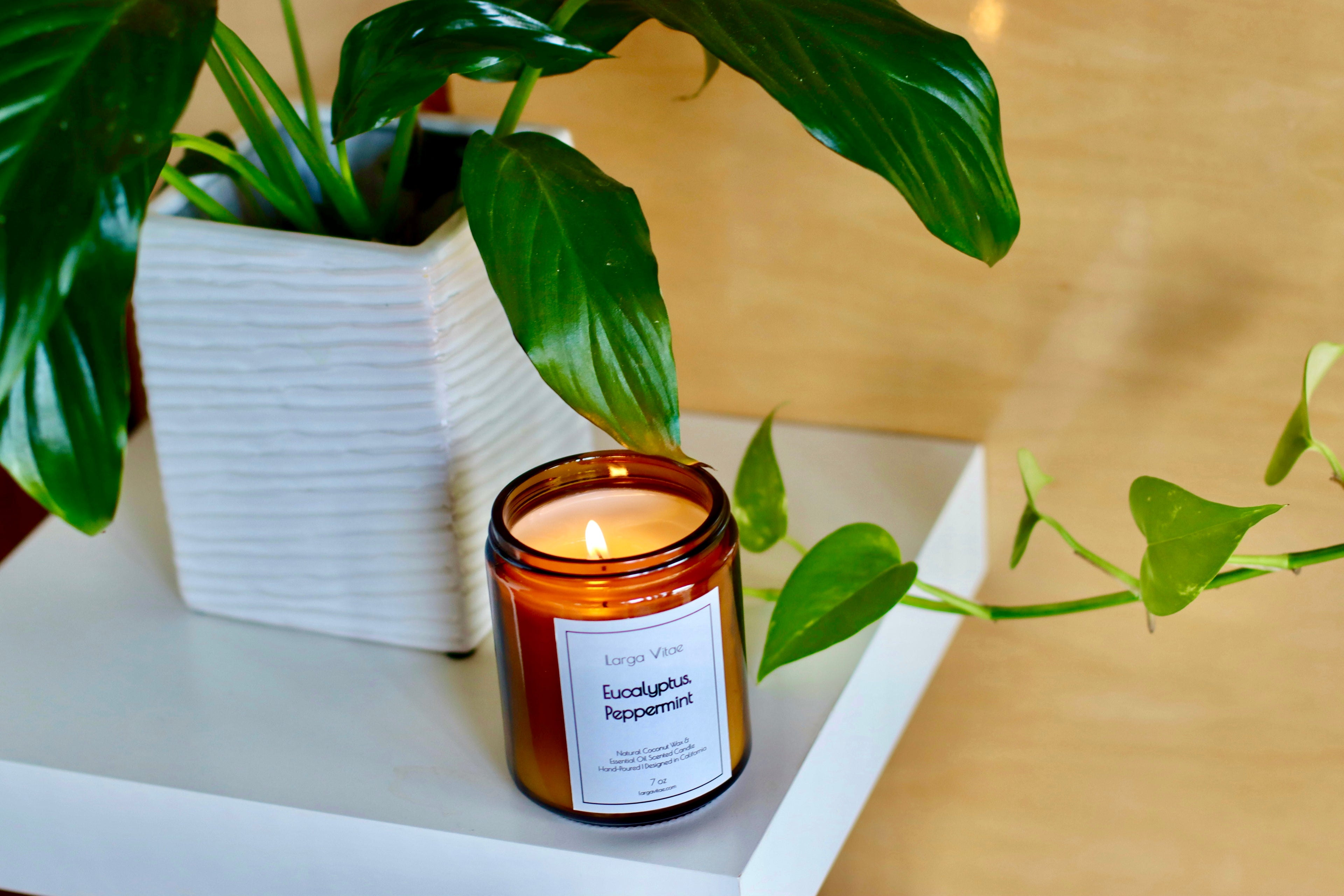 Larga Vitae's glass jar essential oil candle on a white floating shelf, surrounded by green plants.