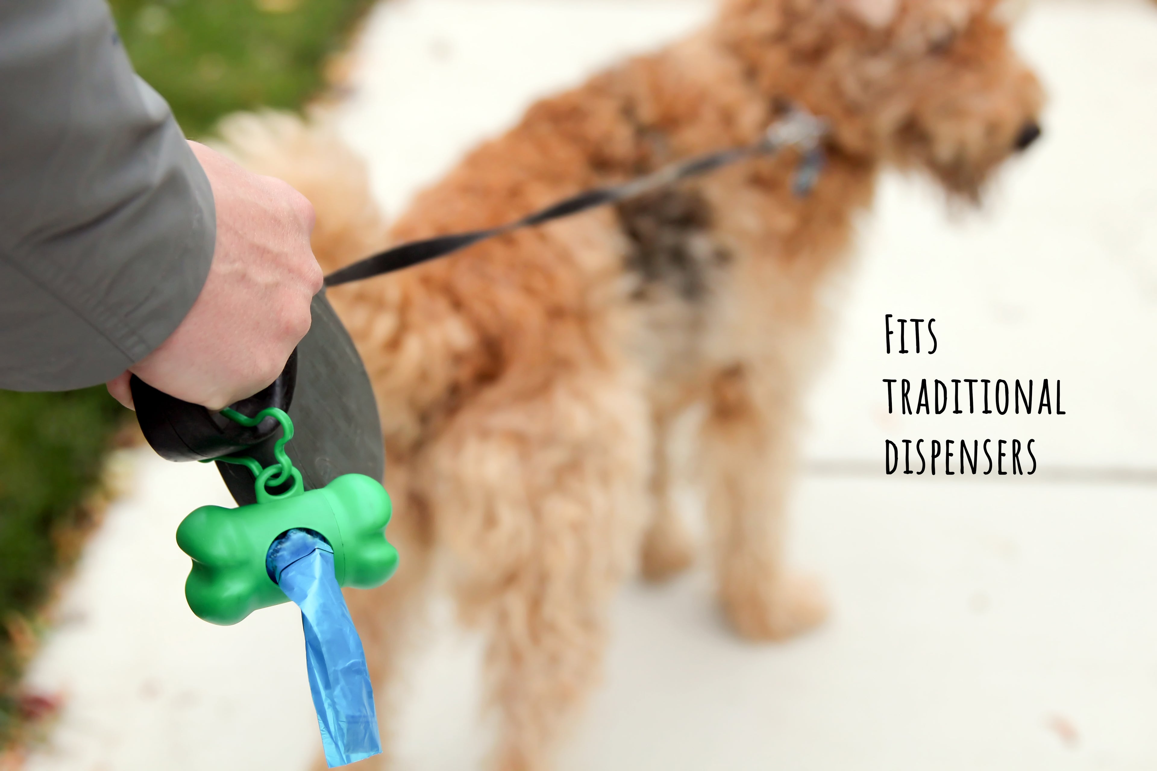 Dog being walked with a green poop bag dispenser filled will Baboo's Bags attached to a leash.
