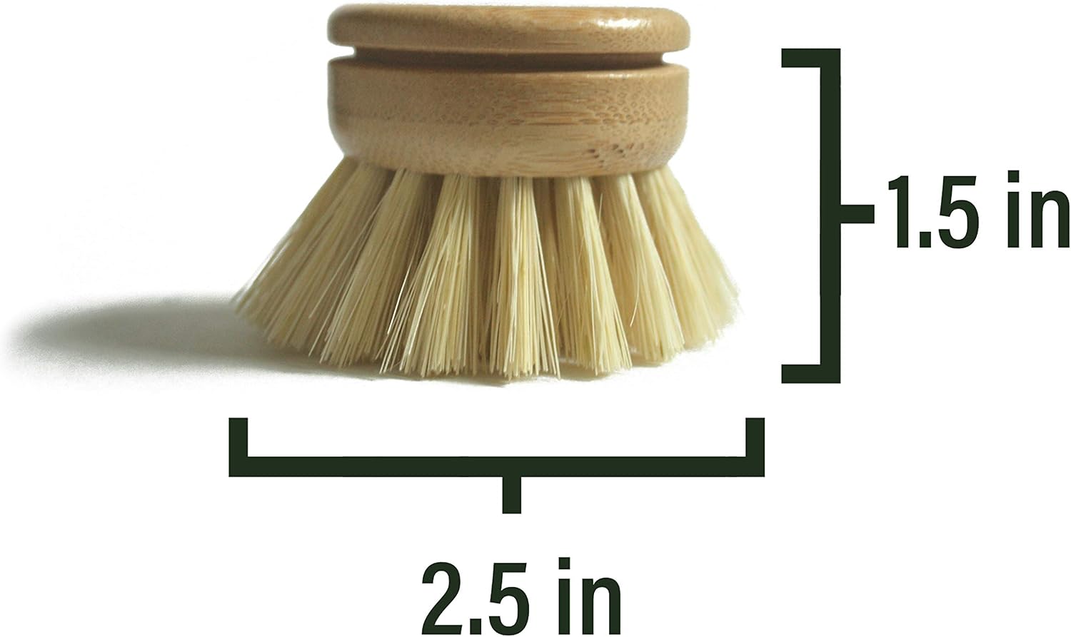 natural fiber bamboo dish brush head measuring 1.5 inch in height and 2.5 inches diameter bristles on a white background