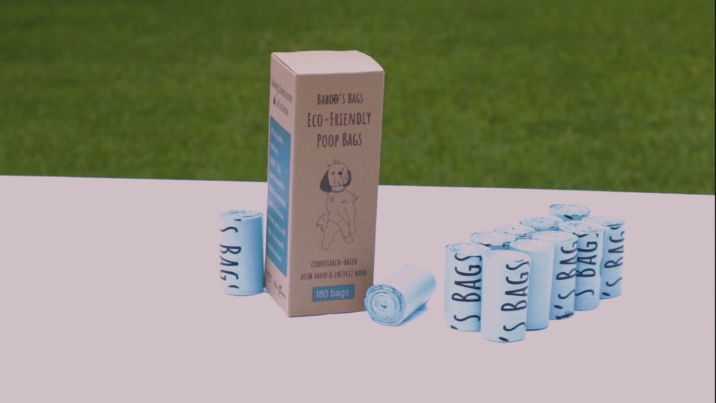 Video demonstrating Baboo's Bags features